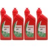 Castrol 2T mineralisches Motorrad Motoröl 4x 1l = 4 Liter