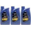 ENI Fork Oil SAE 10W Gabelöl fork oil 3x 1l = 3 Liter