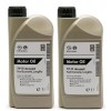 Original GM Genuine Opel 5W-30 dexos2 Longlife 1942000 Motoröl 2x 1l = 2 Liter