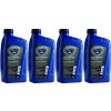 EUROLUB Multigrade SAE 20W-50 Classic Motoröl 4x 1l = 4 Liter