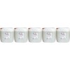 Eurolub Autoshampoo Konzentrat 5x 5 = 25 Liter