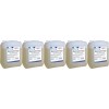 Eurolub Motorkaltreiniger 5x 5 = 25 Liter
