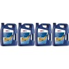 Eurolub GTS SAE 20W-50 4x 5 = 20 Liter