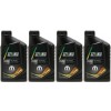 Selenia WR Forward 0W-30 Motoröl 4x 1l = 4 Liter