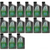 Selenia WR Pure Energy 5W-30 Motoröl 15x 1l = 15 Liter