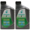 Selenia WR Pure Energy 5W-30 Motoröl 2x 1l = 2 Liter