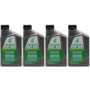 Selenia WR Pure Energy 5W-30 Motoröl 4x 1l = 4 Liter