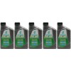 Selenia WR Pure Energy 5W-30 Motoröl 5x 1l = 5 Liter