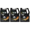 Selenia WR Wide Range 5W-40 Motoröl 3x 5 = 15 Liter