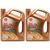 Shell Helix Ultra ECT C2/C3 0W-30 Motoröl 2x 5 = 10 Liter