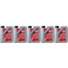 Liqui Moly 1505 Motorbike 2T Synth Street Race Motoröl 5x 1l = 5 Liter