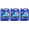 Liqui Moly 25016 Marine 4T Motor Oil 15W-40 3x 5 = 15 Liter