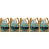 Petronas Syntium 5000 CP 5W-30 Motoröl 5x 5 = 25 Liter