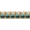 Petronas Syntium 5000 CP 5W-30 Motoröl 6x 5 = 30 Liter