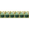 Petronas Syntium 3000 FR 5W-30 Motoröl 6x 5 = 30 Liter