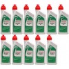 CASTROL GARDEN 2T Motoröliter 11x 1l = 11 Liter