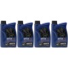 Elf HTX 976+ Racing Lubricants 100 % Synthetic 2-T Motoröl 4x 1l = 4 Liter
