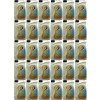 Total Glacelf Auto Supra Kühlerfrostschutz Konzentrat 30x 1l = 30 Liter