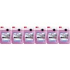 Sonax 01315000 AntiFrost & KlarSicht Zirbe bis -20°C 6x 5 = 30 Liter