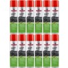 Nigrin Cockpit-Spray Apfel 12x 400 Milliliter
