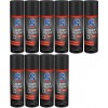 S100 Lederpflege Matt 10x 300 Milliliter