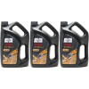 FUCHS TITAN GT1 Pro C-3 5W-30 Motoröl 3x 5 = 15 Liter