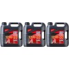 Liqui Moly 3054 Motorbike 4T Synth 10W-60 Offroad Race 3x 4l = 12 Liter