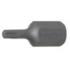 BGS Bit | Antrieb Außensechskant 10 mm (3/8"") | T-Profil (für Torx) T20