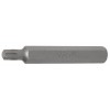 BGS Bit | Länge 75 mm | Antrieb Außensechskant 10 mm (3/8"") | T-Profil (für Torx) T40