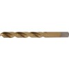 BGS Spiralbohrer | HSS-G | titan-nitriert | 10,0 mm