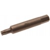 BGS Bit, lang | Antrieb Außensechskant 10 mm (3/8"") | T-Profil (für Torx) T40