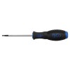 BGS Schraubendreher | T-Profil (für Torx) mit Bohrung T10 | Klingenlänge 80 mm