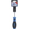BGS Schraubendreher | T-Profil (für Torx) mit Bohrung T15 | Klingenlänge 80 mm