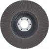 BGS Fächer-Schleif-Scheibe | Ø 125 mm | K 120