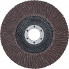 BGS Fächer-Schleif-Scheibe | Ø 125 mm | K 80