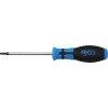 BGS Schraubendreher | T-Profil (für Torx) mit Bohrung T25 | Klingenlänge 100 mm