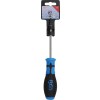 BGS Schraubendreher | T-Profil (für Torx) T25 | Klingenlänge 100 mm