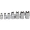BGS Steckschlüssel-Einsatz-Satz E-Profil | Antrieb Innenvierkant 6,3 mm (1/4"") / 10 mm (3/8"") | SW E6 - E16 | 7 tlg.