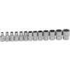 BGS Steckschlüssel-Einsatz-Satz Zwölfkant | Antrieb Innenvierkant 6,3 mm (1/4"") | SW 4 - 14 mm | 13-tlg.