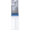 BGS Hammer-Bohrer-Satz | SDS-Schaft, Hartmetallspitze | 5 - 10 mm | 6-tlg.