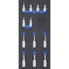 BGS Werkstattwageneinlage 1/3: Bit-Einsatz-Satz | Innensechskant | 12,5 mm (1/2"") | 12-tlg.