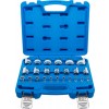 BGS Steckschlüssel-Einsatz-Satz Sechskant | Antriebe Innenvierkant 6,3 mm (1/4""), 12,5 mm (1/2"") | Zollmaße | 24-tlg.