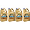 Ravenol DXG SAE 5W-30 Vollsynth Dexos 1 Gen 2 Motoröl 4x 5 = 20 Liter