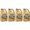 Ravenol VSI SAE 5W-40 Vollsynth Motoröl 4x 5 = 20 Liter