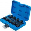 BGS Kraft-Bit-Einsatz-Satz | Antrieb Innenvierkant 12,5 mm (1/2"") | Innenvielzahn (für XZN) M4 - M16 | 9-tlg.