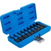 BGS Kraft-Bit-Einsatz-Satz | Antrieb Innenvierkant 12,5 mm (1/2"") | Keil-Profil (für Ribe) M5 - M14 | 9-tlg.