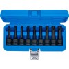 BGS Kraft-Bit-Einsatz-Satz | Antrieb Innenvierkant 12,5 mm (1/2"") | Keil-Profil (für Ribe) M5 - M14 | 9-tlg.