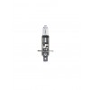 Philips LongLife EcoVision H1 P14.5s 12V 55W 3000K Doppelpack