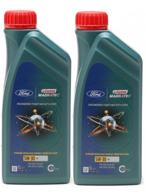 Castrol Magnatec (ex. Professional) A5 5W-30 Ford Motoröl 2x 1l = 2 Liter