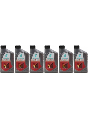 Selenia K 5W-40 Motoröl 6x 1l = 6 Liter
